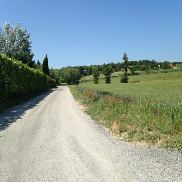 Offres de vente Terrain Grane 26400